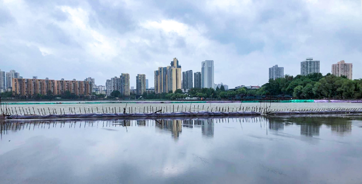 建鄴區(qū)莫愁湖湖體水質(zhì)提升—清淤及生態(tài)修復(fù)工程施工